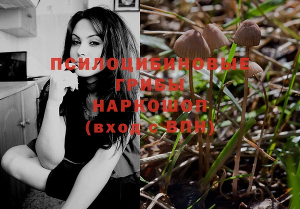 спайс Осинники