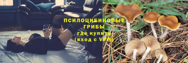 МДПВ Краснотурьинск