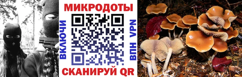 Псилоцибиновые грибы MAGIC MUSHROOMS  Кондрово 